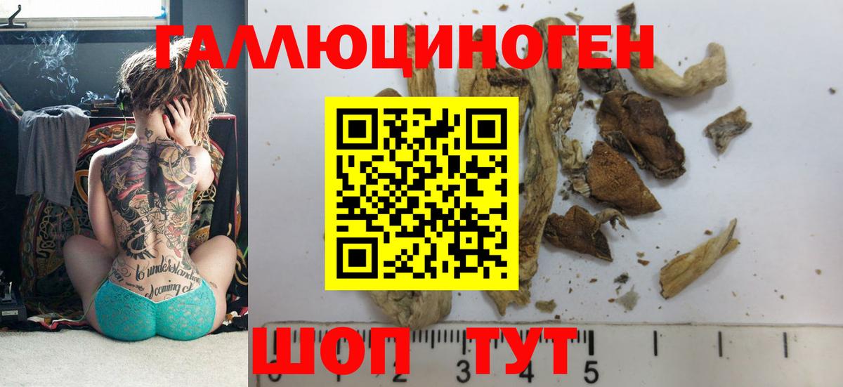 Галлюциногенные грибы MAGIC MUSHROOMS Волоколамск