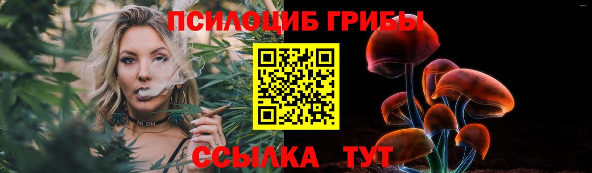 цена   Галлюциногенные грибы Magic Shrooms  Вход с VPN  Волоколамск 