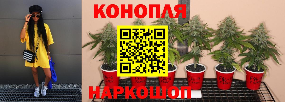 Бошки Шишки ГИДРОПОН Волоколамск